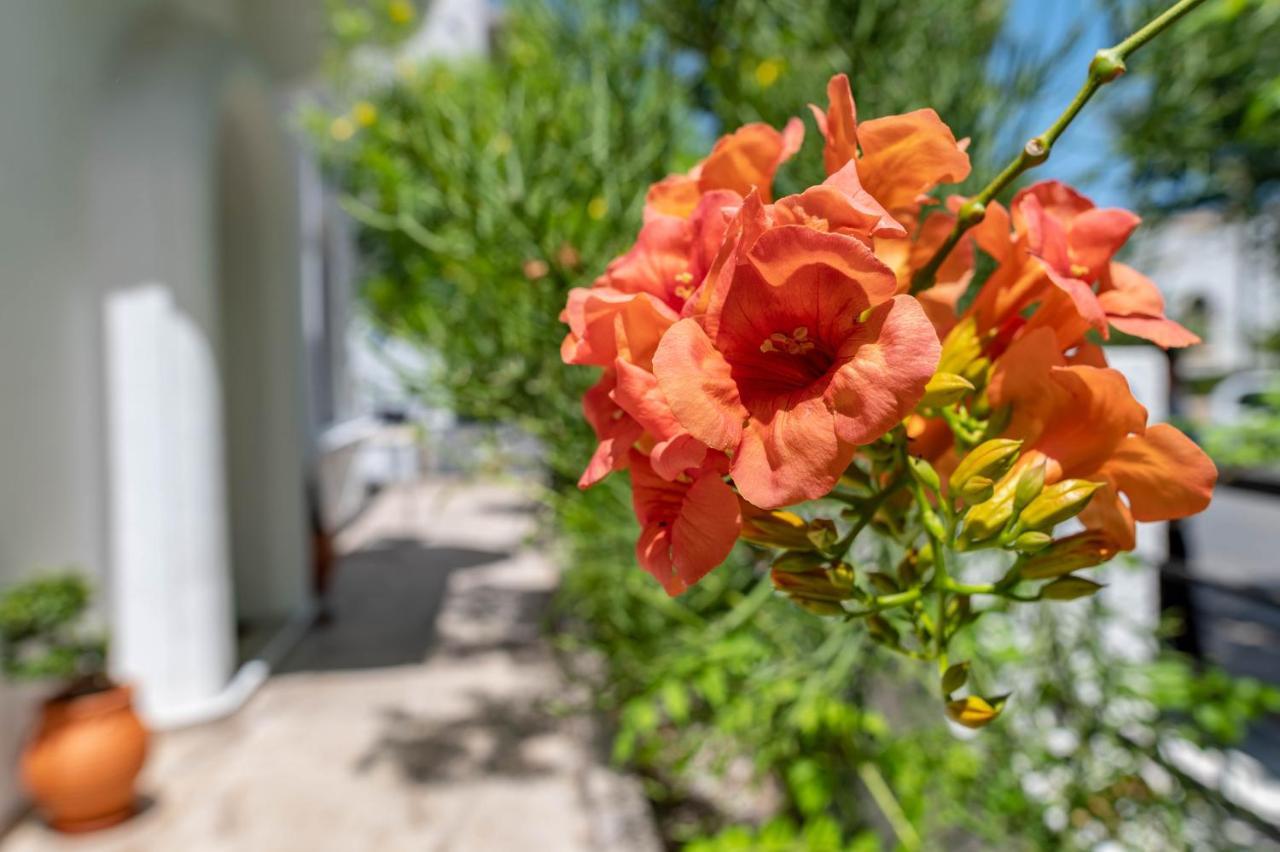 Holiday home Kosnian B Kos Town